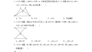 青岛版（2024）1.1 全等三角形当堂检测题