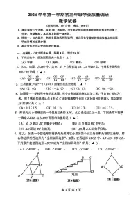 2025年上海市闵行区初三 中考一模 数学试卷(原卷）