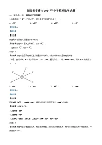 湖北省孝感市2024年中考模拟数学试题(解析版)