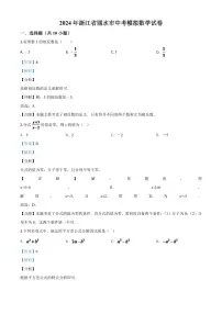 2024年浙江省丽水市中考模拟数学试题(解析版)