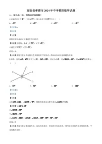 湖北省孝感市2024年中考模拟数学试题(解析版)