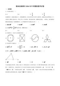 湖南省湘潭市 2024年中考模拟数学试题（原卷版）
