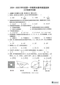 广东省惠州市惠阳区2024-2025学年九年级上学期1月期末数学试题