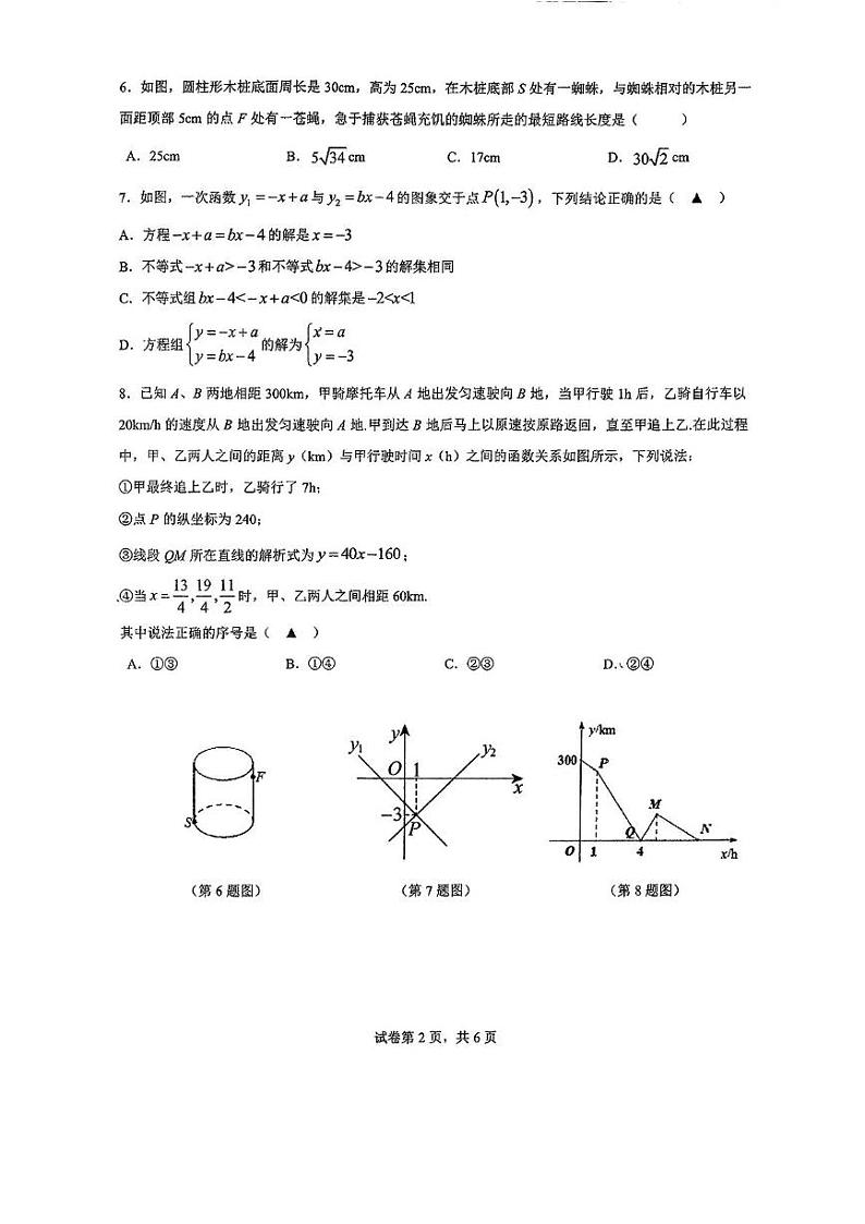 广东省深圳高级中学2024-2025学年八年级上学期期末数学试题第2页