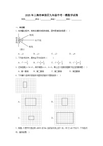 2025年上海市奉贤区九年级中考一模数学试卷
