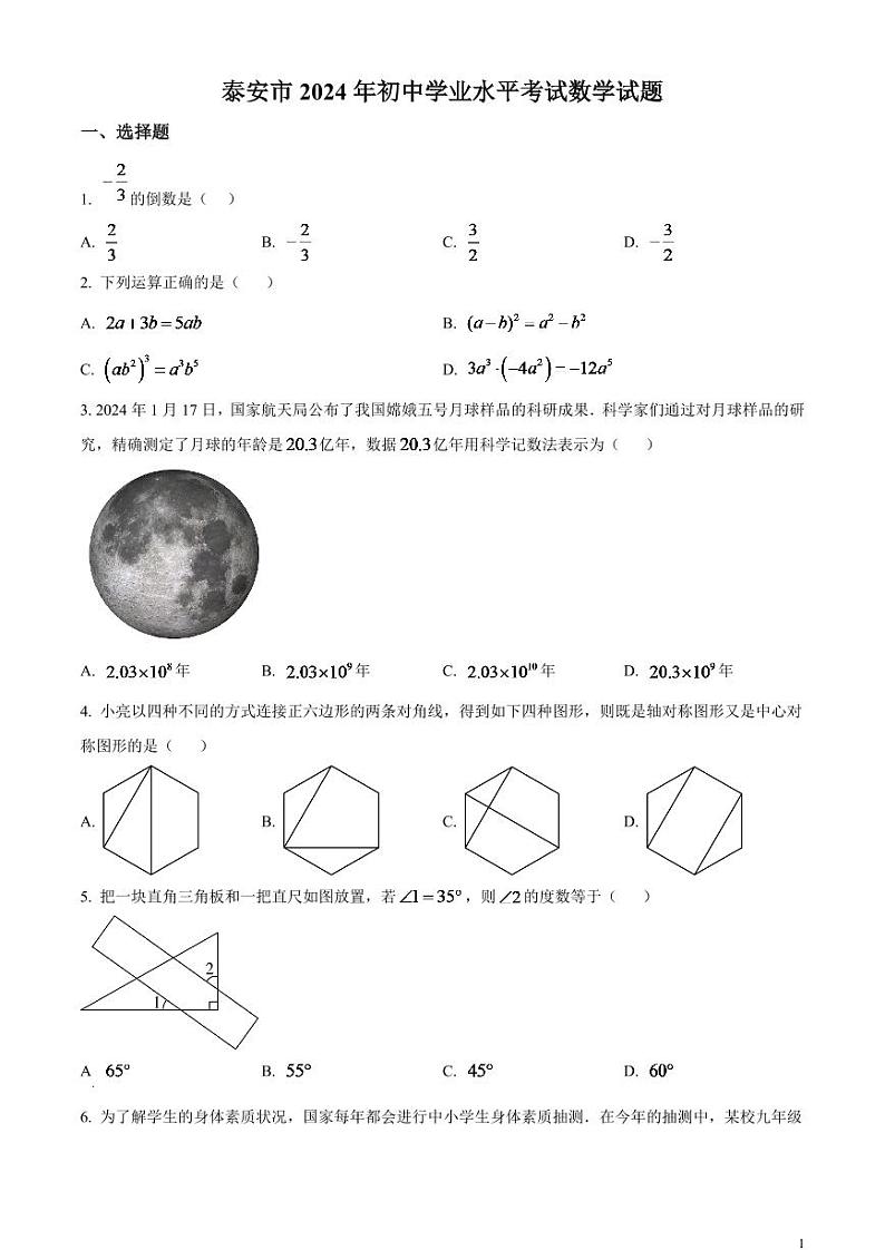 2024年山东省泰安市中考数学模拟试题(原卷版)第1页