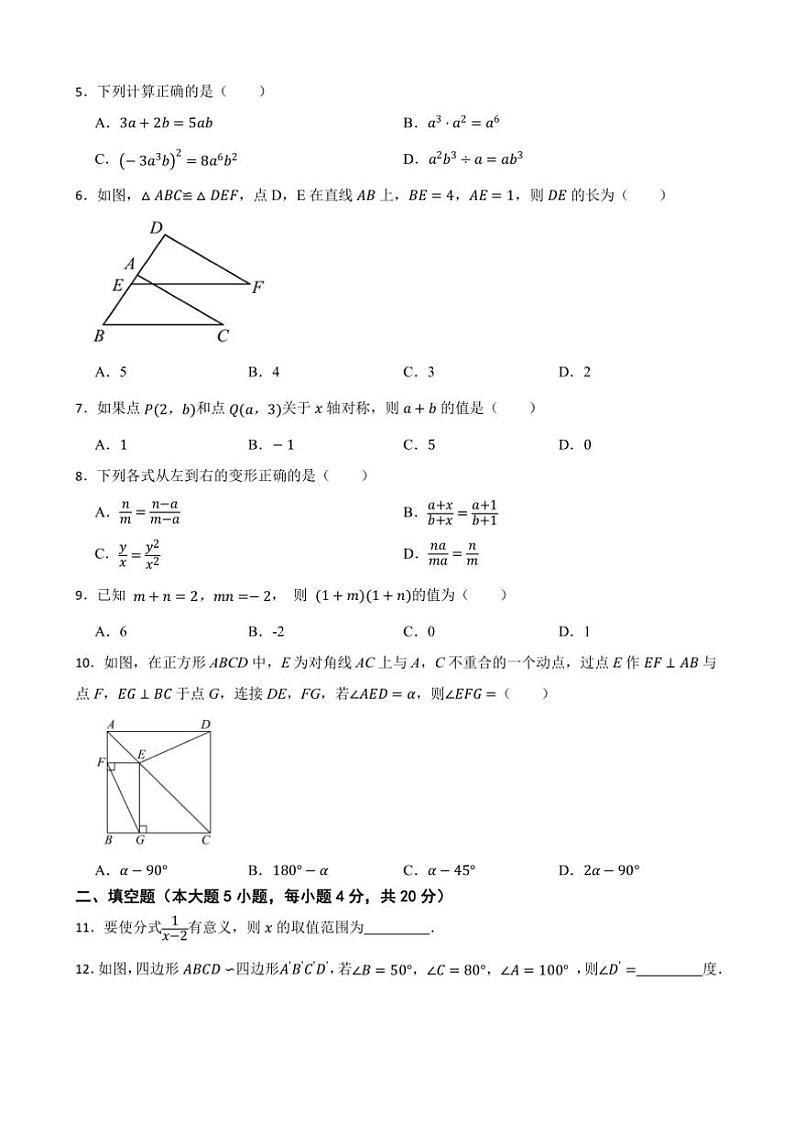 20224~2025学年北师大版八年级数学上册期末押题卷试卷(含答案+解析)第2页