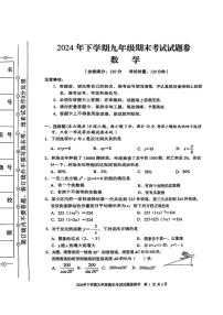 湖南省娄底市冷水江市2024-2025学年九年级上学期期末数学试题