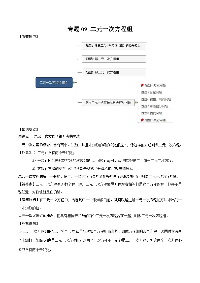 中考數(shù)學(xué)一輪復(fù)習(xí)知識點梳理+題型訓(xùn)練專題09 二元一次方程組（原卷版）第1頁