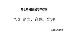 初中数学新人教版七年级下册7.3 定义、命题、定理教学课件2025春