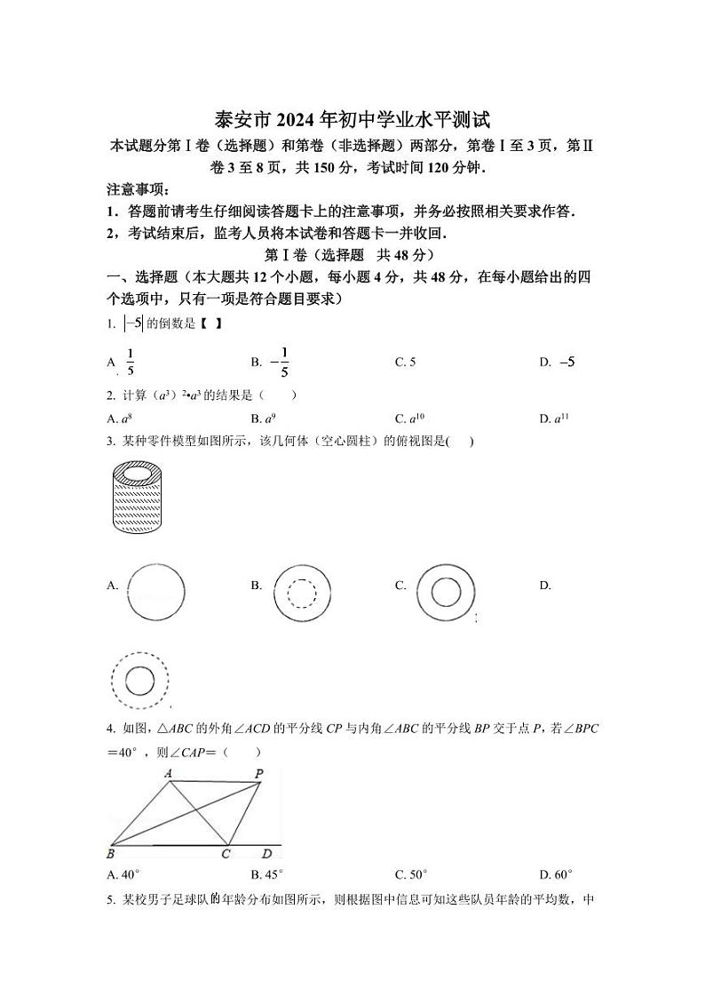 2024年山东省泰安市中考数学模拟试卷(原卷版)第1页