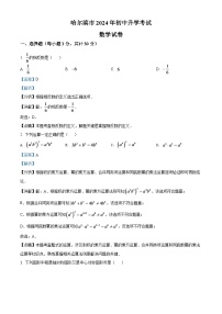2024年黑龙江省哈尔滨市中考数学模拟试卷（解析版）