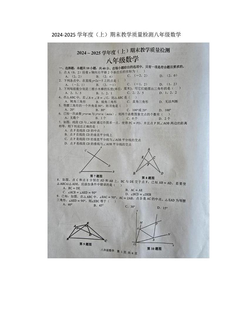 安徽省合肥市肥西县2024-2025学年八年级上学期1月期末数学试题第1页