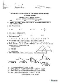 福建省泉州市惠安县2024-2025学年八年级上学期期末考试数学试卷