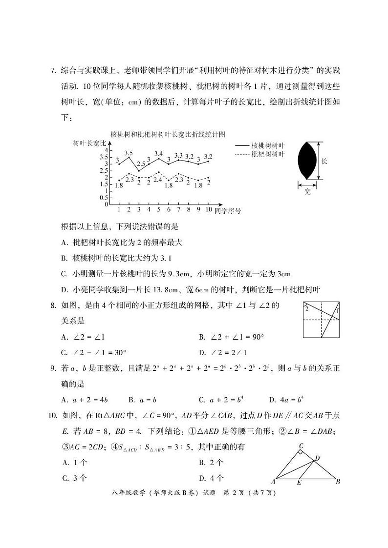 福建省漳州市2024—-2025学年八年级上学期期末教学质量检测数学试题(华东师大版B卷)第2页
