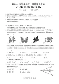 湖北省武汉市东西湖区2024-2025学年八年级上学期期末数学试卷