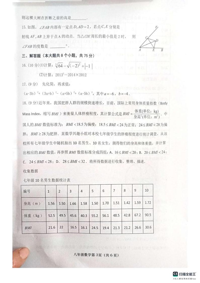 河南省南阳市社旗县2024-2025学年八年级上学期1月期末考试数学试题第3页
