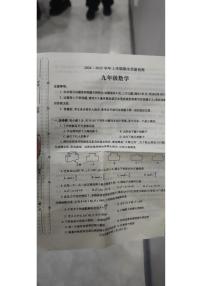 河南省平顶山市2024-2025学年九年级上学期1月期末考试数学试题