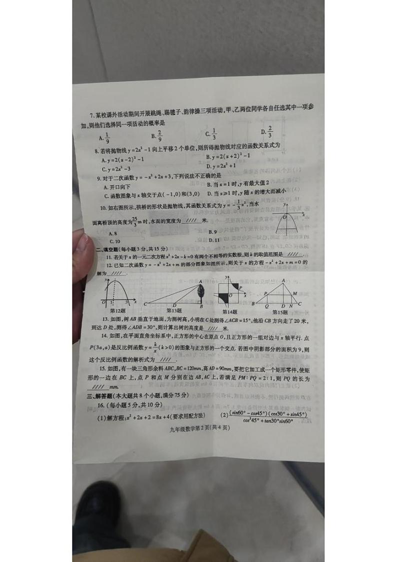 河南省平顶山市2024-2025学年九年级上学期1月期末考试数学试题第2页