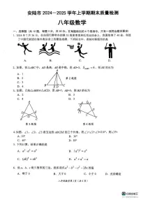 湖北省孝感市安陆市2024-2025学年八年级上学期期末质量检测数学试题