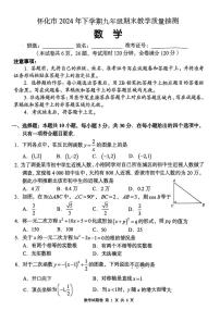 湖南省怀化市2024-2025学年九年级上学期期末试卷数学试题
