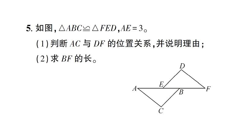 初中数学新北师大版七年级下册第四章2 全等三角形作业课件2025春第6页