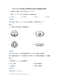 湖北省武汉市东西湖区2024-2025学年九年级上学期期中数学试卷（解析版）
