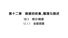 12.1.1 全面调查（习题课件）2024-2025学年人教版七年级数学下册