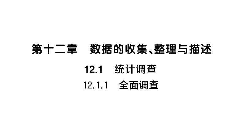12.1.1 全面调查(习题课件)2024-2025学年人教版七年级数学下册第1页