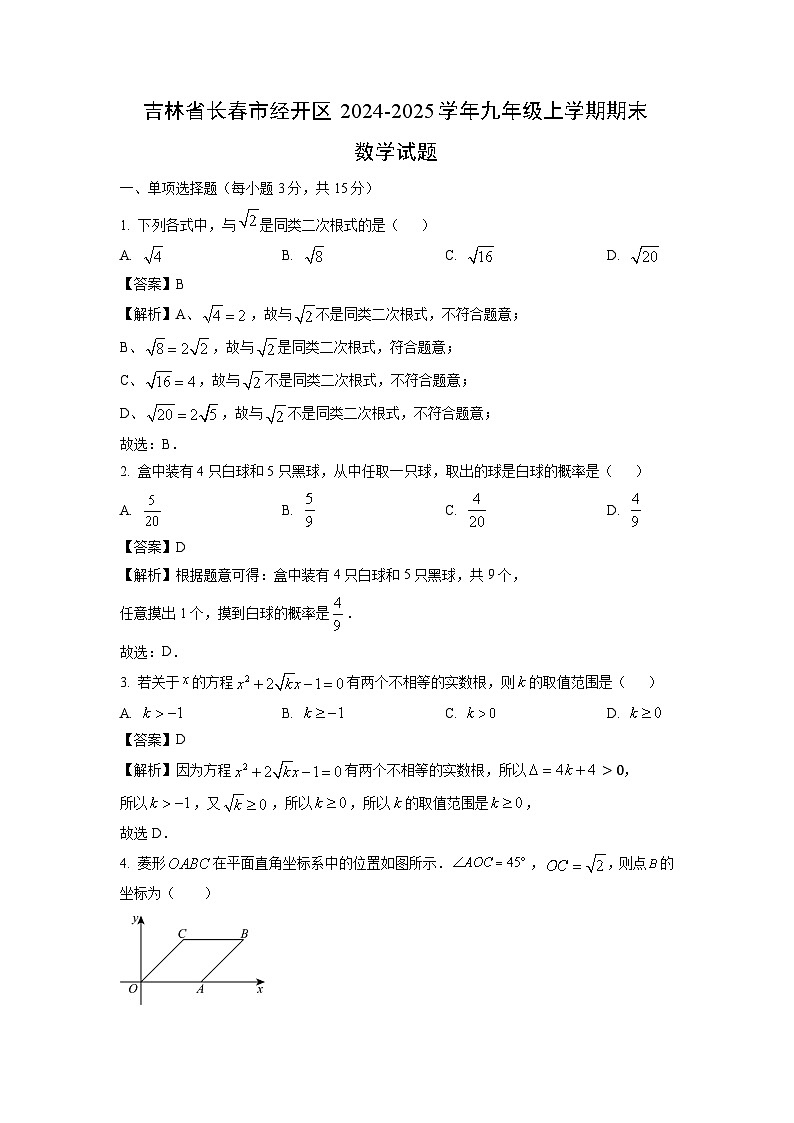 2024~2025学年吉林省长春市经开区九年级上学期期末数学试卷(解析版)第1页
