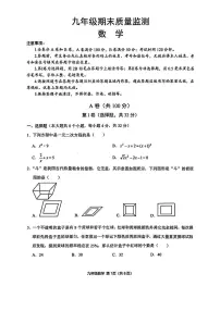 四川省成都市青羊区2024-2025学年九年级上学期期末考试 数学试卷