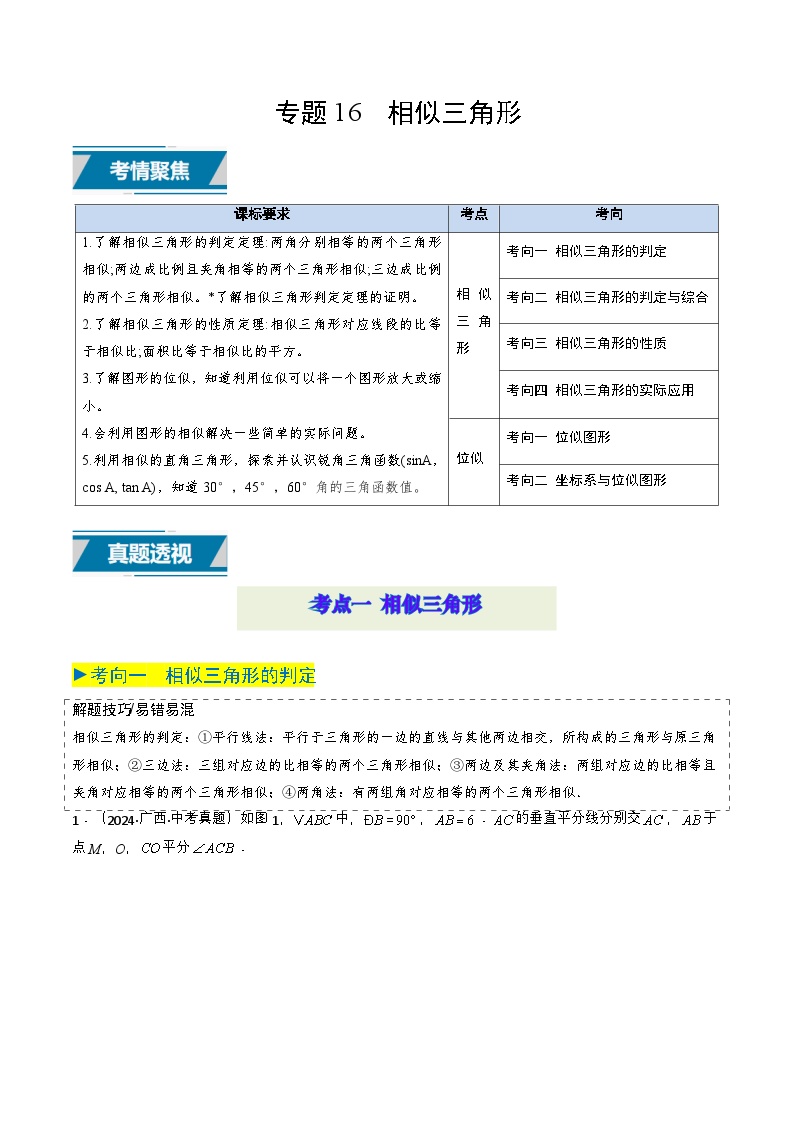 专题16 相似三角形（中考高频）-2025年中考数学二轮复习题型归纳与专练（全国通用）