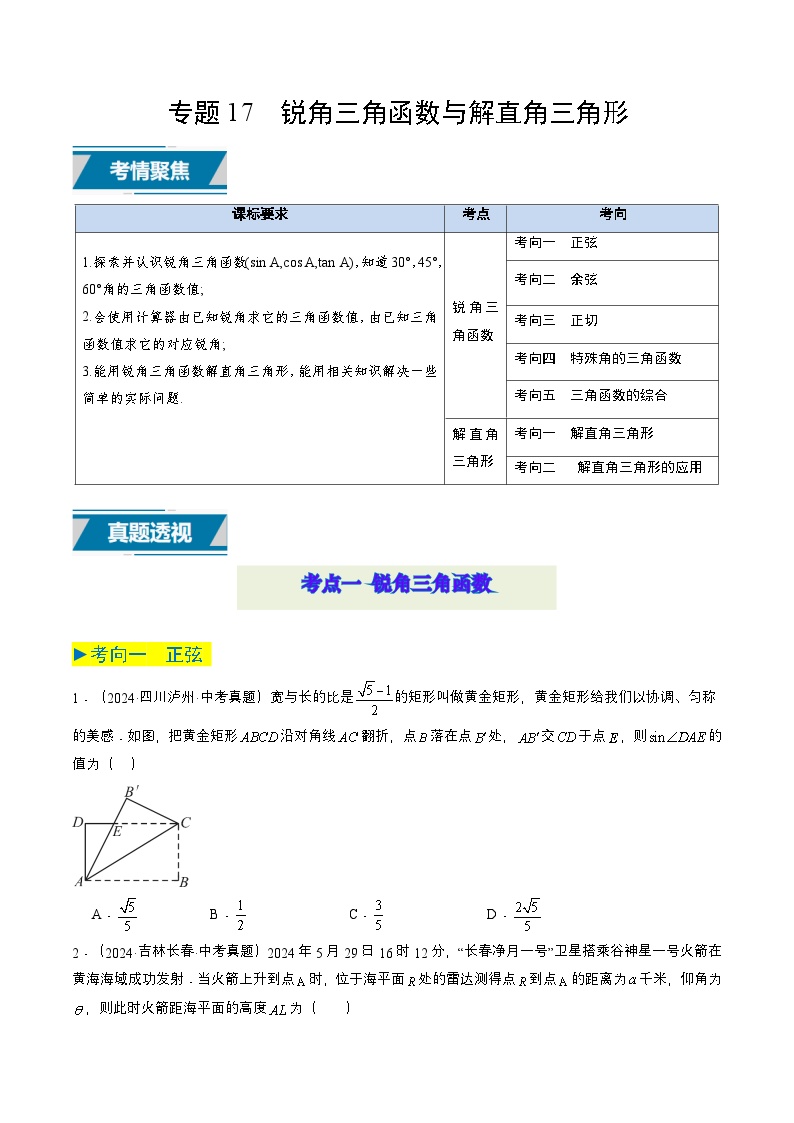 专题17 锐角三角函数与解直角三角形（中考高频）-2025年中考数学二轮复习题型归纳与专练（全国通用）