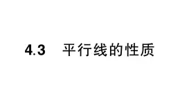 初中数学新湘教版七年级下册4.3 平行线的性质作业课件2025春