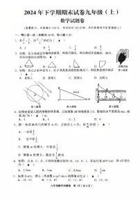 浙江省金华市东阳市2024-2025学年九年级上学期1月期末考试数学试题