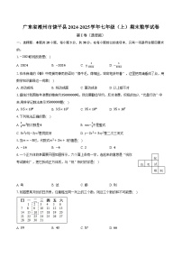 广东省潮州市饶平县2024-2025学年七年级（上）期末数学试卷