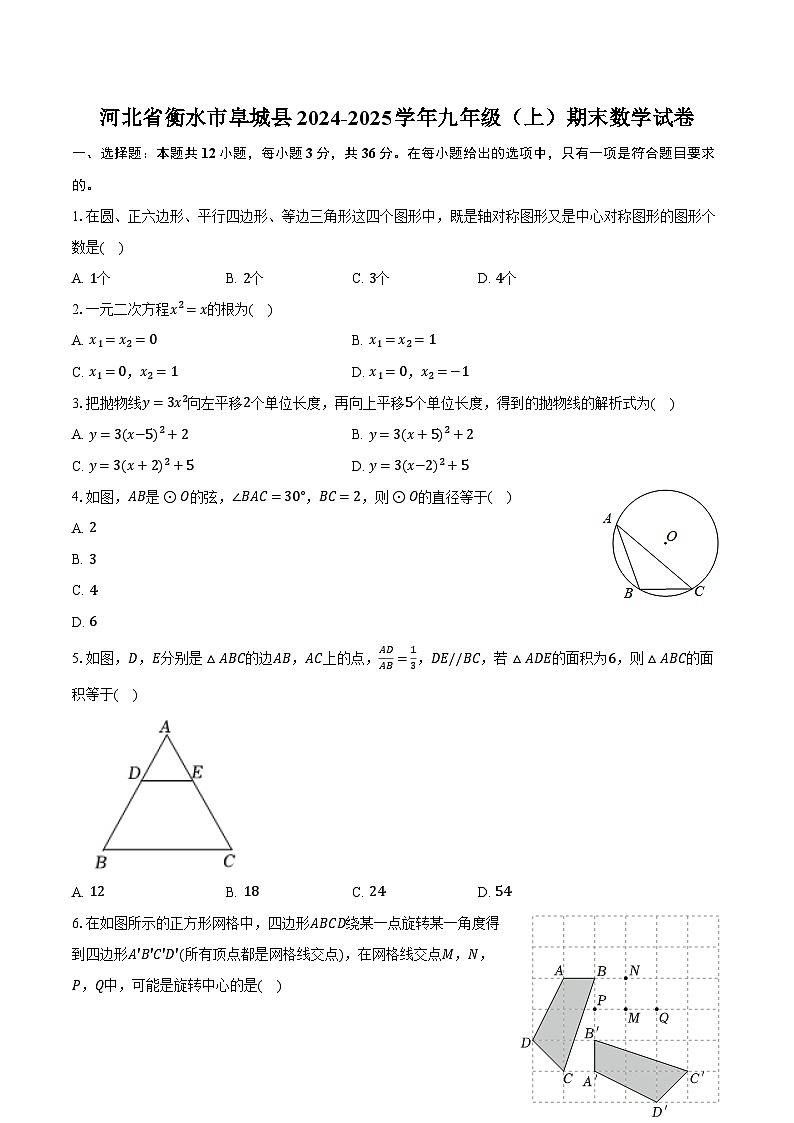 河北省衡水市阜城县2024-2025学年九年级(上)期末数学试卷第1页