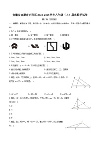 安徽省合肥市庐阳区2024-2025学年八年级（上）期末数学试卷