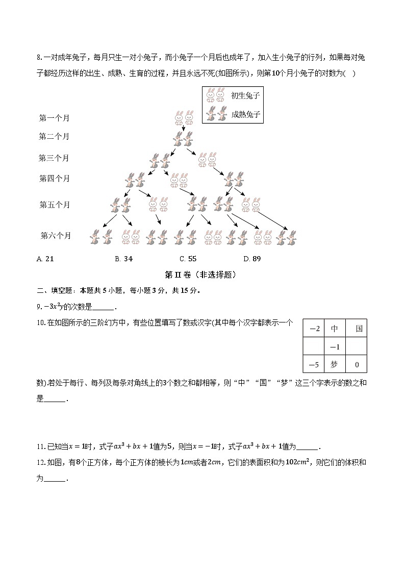 广东省深圳第二实验学校2024-2025学年七年级(上)期末数学试卷第3页