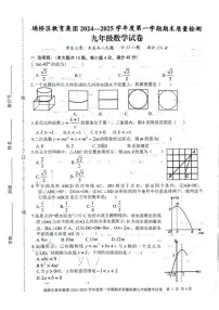 安徽省宿州市埇桥区教育集团2024-2025学年九年级上学期1月期末试卷数学试题