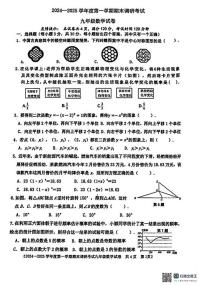广东省湛江市雷州市2024-2025学年九年级上学期1月期末数学试题