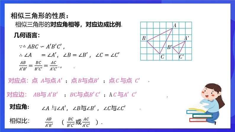 浙教版数学九年级上册4.3《相似三角形》 课件第5页
