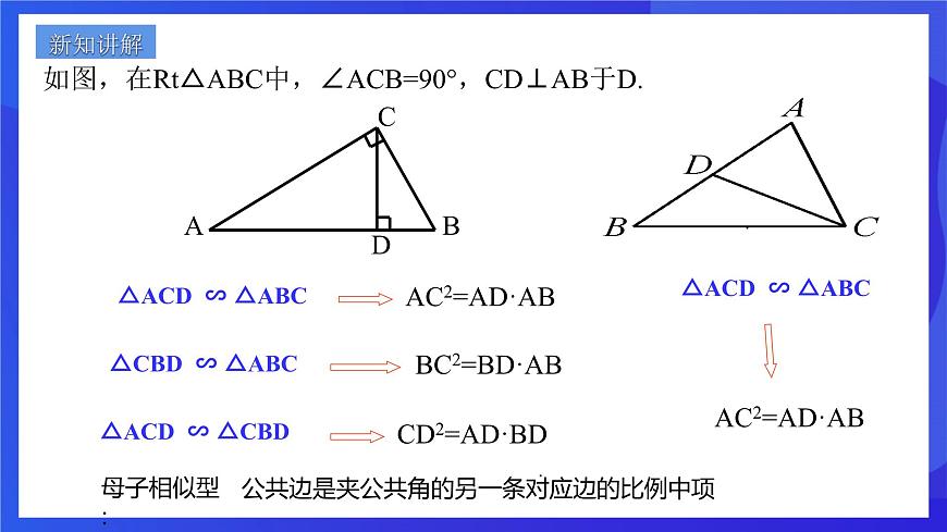 浙教版數學九年級上冊第四章《相似三角形章末復習-----替換》課件第2頁