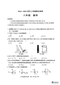 河南省郑州市二七与高新区2024-2025学年八年级上学期数学期末试卷