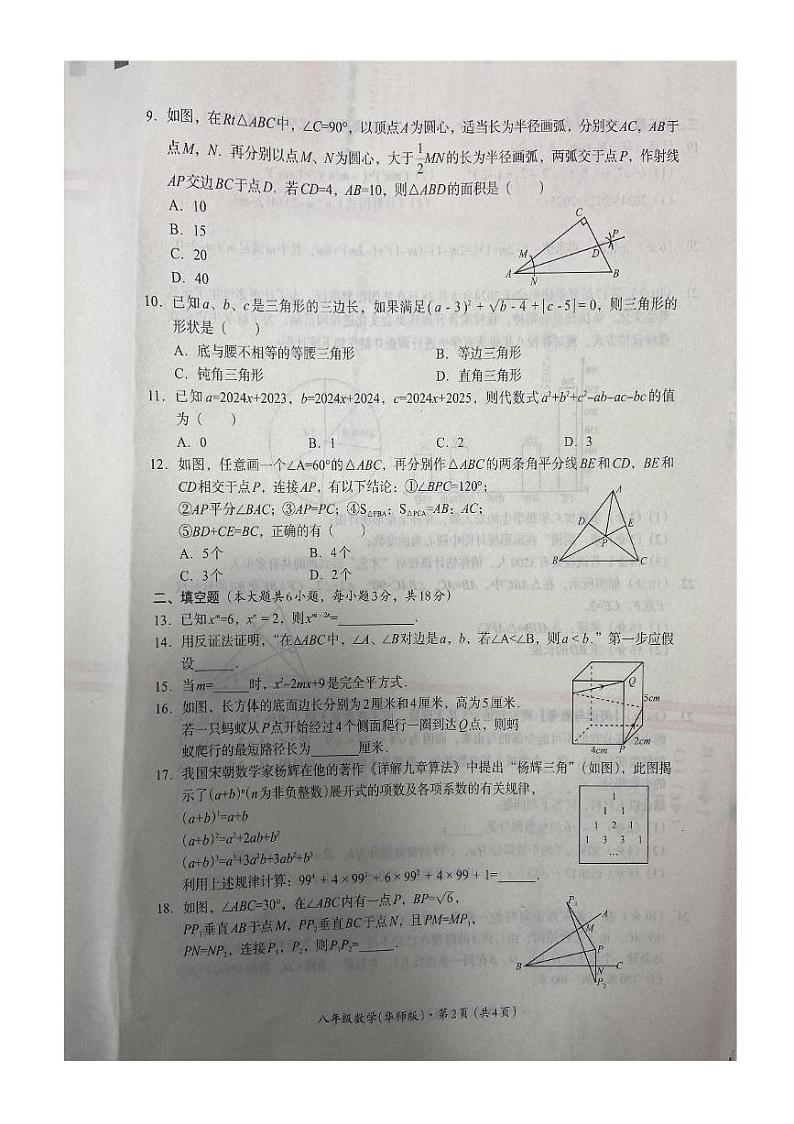 四川省巴中市2024-2025学年八年级上学期1月期末考试数学试卷第2页