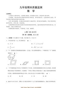2024～2025学年四川省成都青羊区九年级上期末考试数学试卷(含答案)