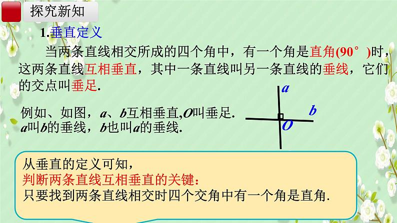 7.1.2 两条直线垂直 课件人教2024版七年级数学下册第6页
