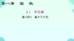 8.1算术平方根课件 2024--2025学年人教版七年级数学下册