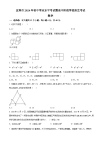 2024年四川省宜宾市中考数学模拟试卷（原卷版）