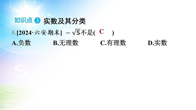 沪科版(2024新版)七年级下册数学6.2 无理数和实数 课件第8页